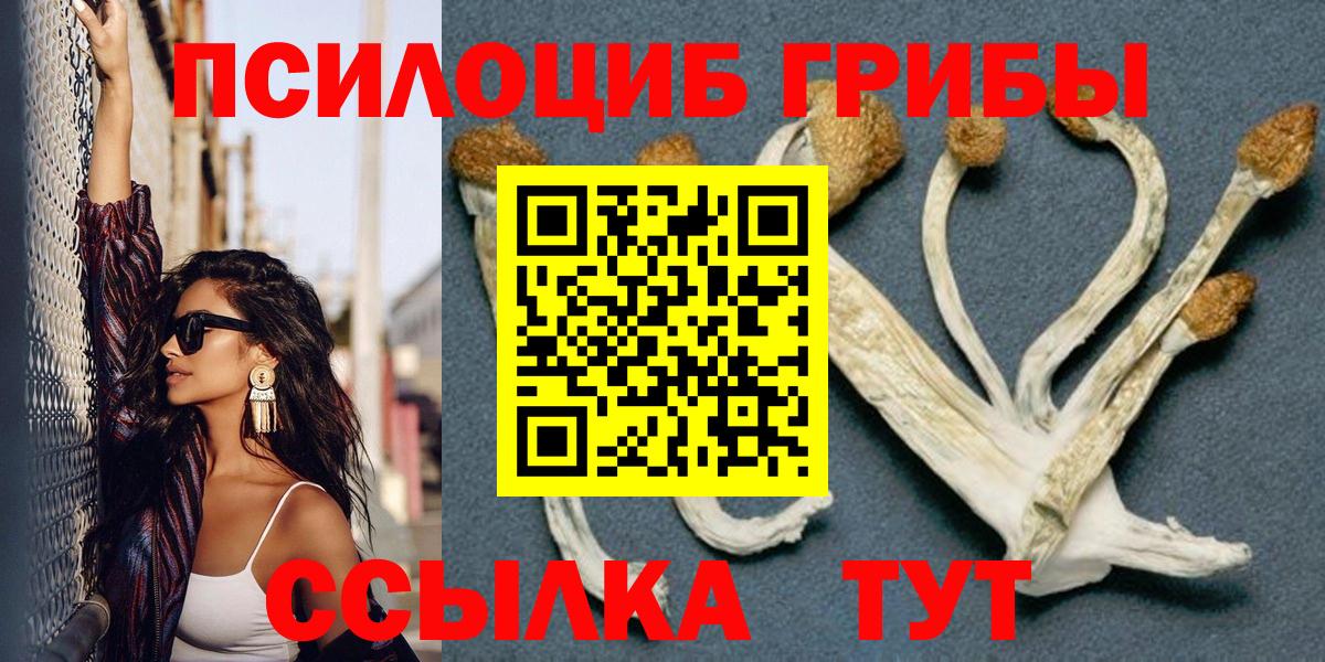 Галлюциногенные грибы Cubensis  Вход с VPN  Камышин 